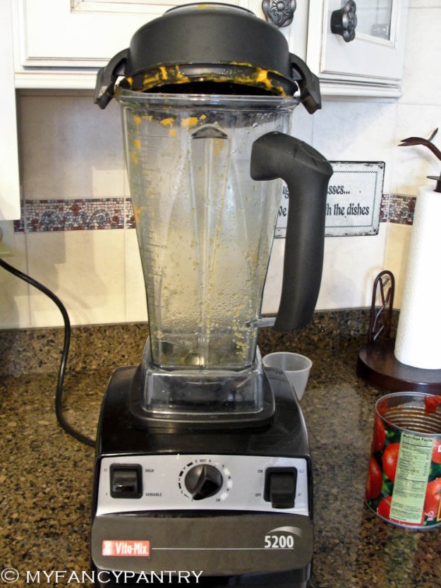 vitamix making curry