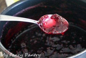 blackberry ginger spiced jam recipe